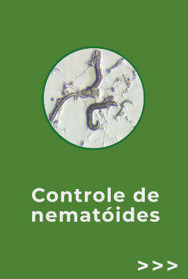 Nematóides