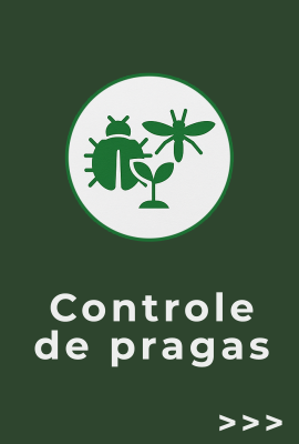 Pragas