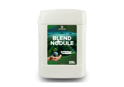 BLEND NODULE